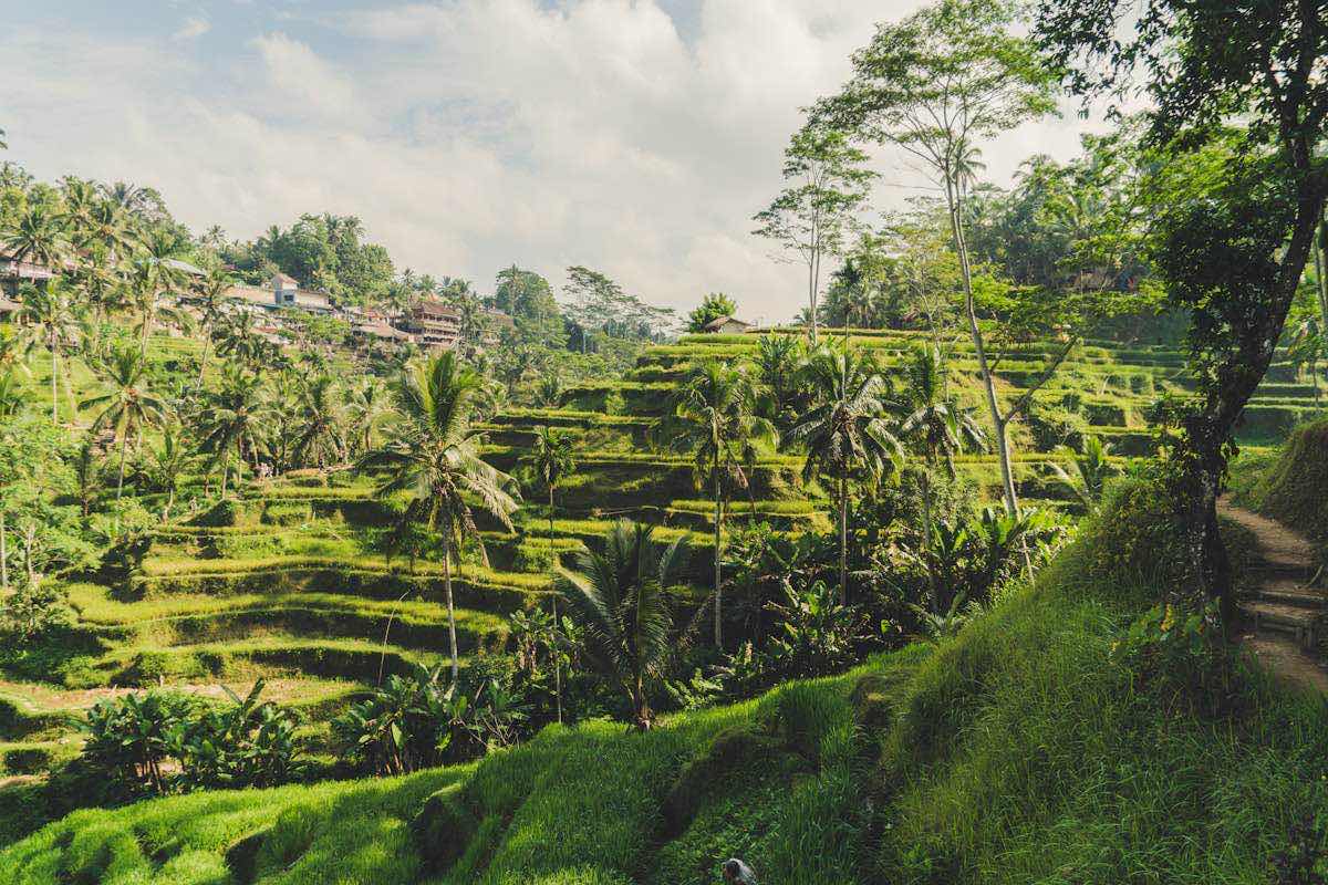 How Many Days in Ubud Is Enough? A Local’s Honest Guide