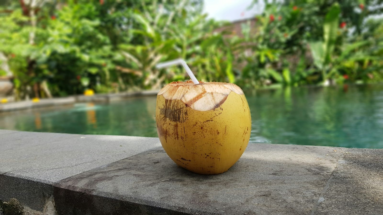 Fresh coconut prepared for drinking