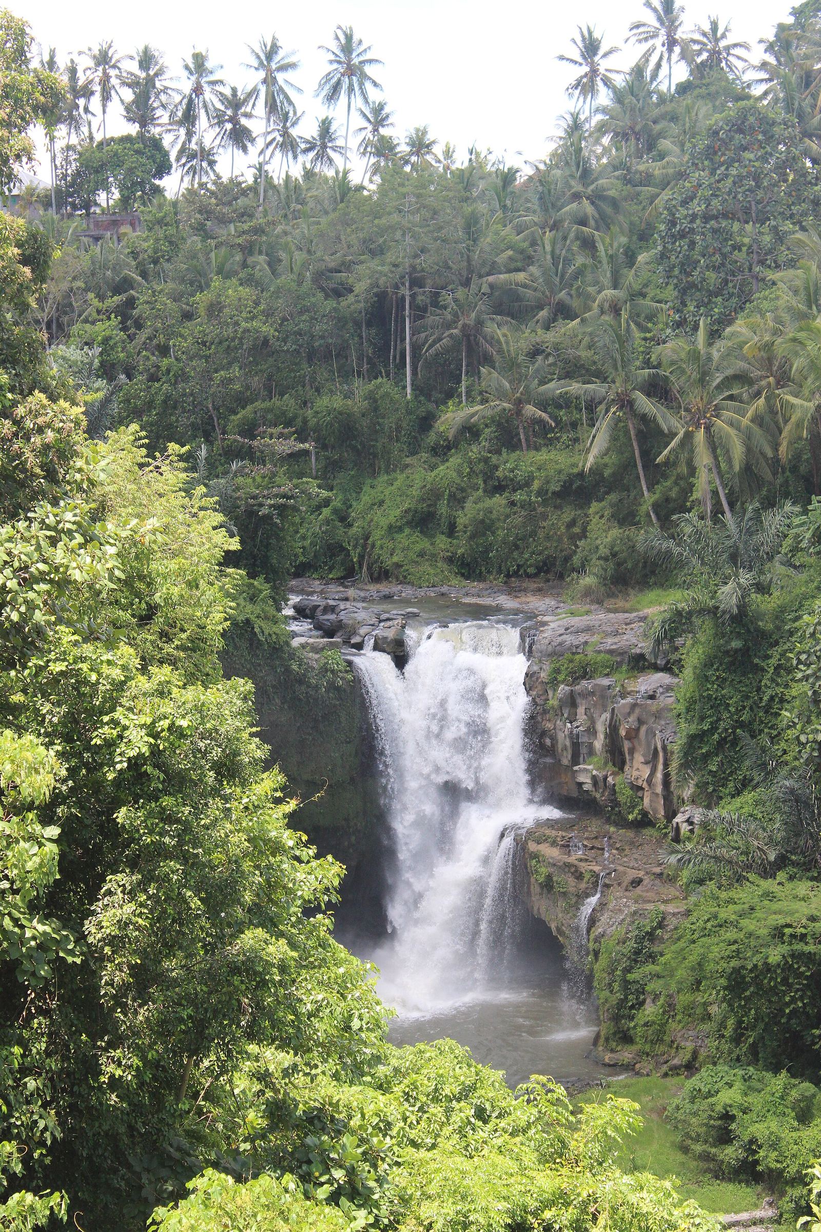 Tegenungan Waterfall near Ubud Bali surrounded by tropical greenery