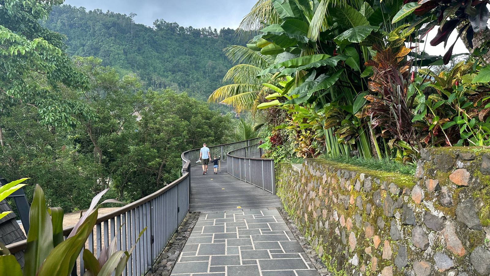 A jungle walkway in Ubud surrounded by tropical greenery