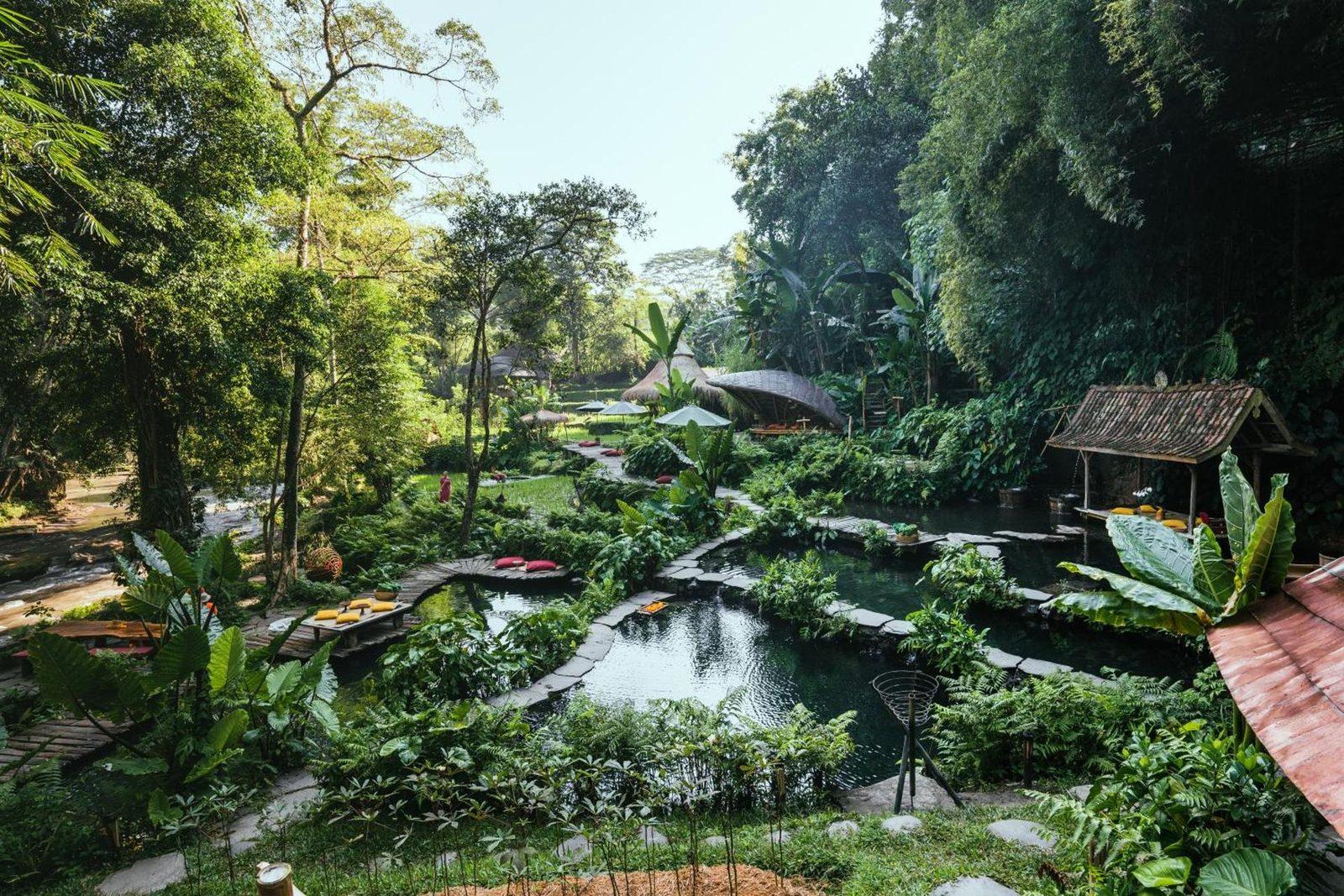 Natural spring-fed pool surrounded by deep tropical greenery at Bambu Indah, Sayan, Ubud