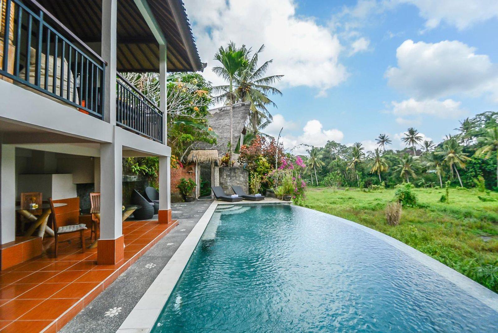 Infinity pool facing green rice paddies at Le Sabot, a bamboo eco-stay in Ubud