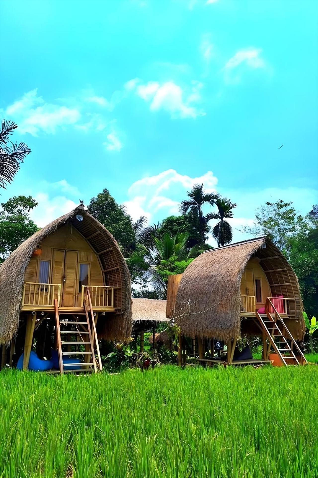 Bamboo treehouse cottages among greenery near Tegallalang and Sebatu, Ubud
