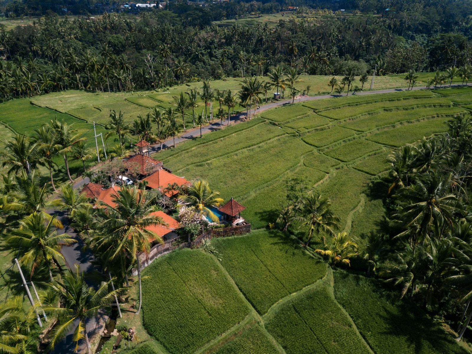 A private villa tucked into rice fields in Bali